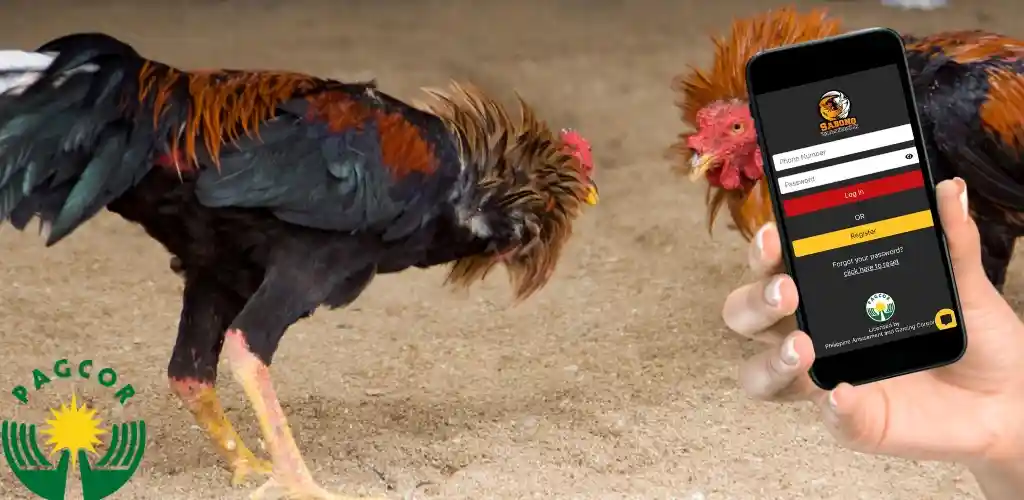 Y777JILI Online Sabong